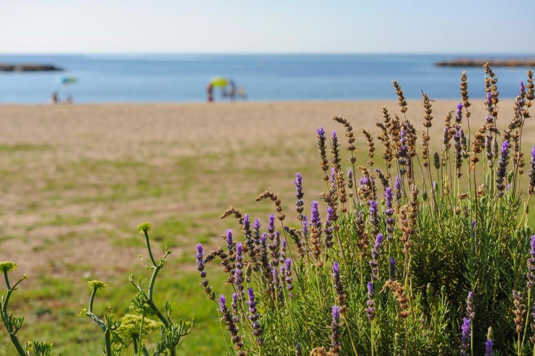 Willa Casa Del Dorado Playa Cambrils Zewnętrze zdjęcie